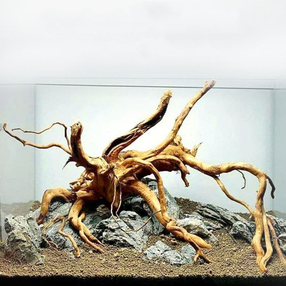 Aquarium Plant Design - Натуральный ствол дерева, аквариумное украшение, деревянное