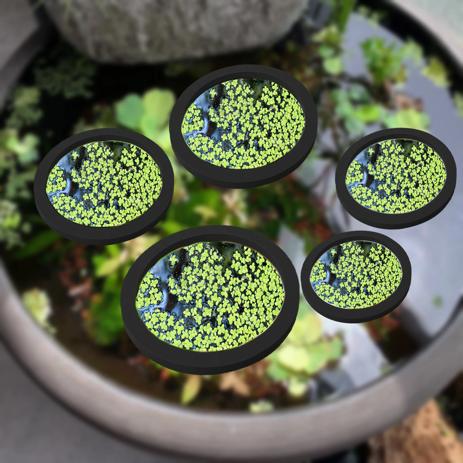 Aquarium Planting - 5 шт., кольцо для кормления рыб