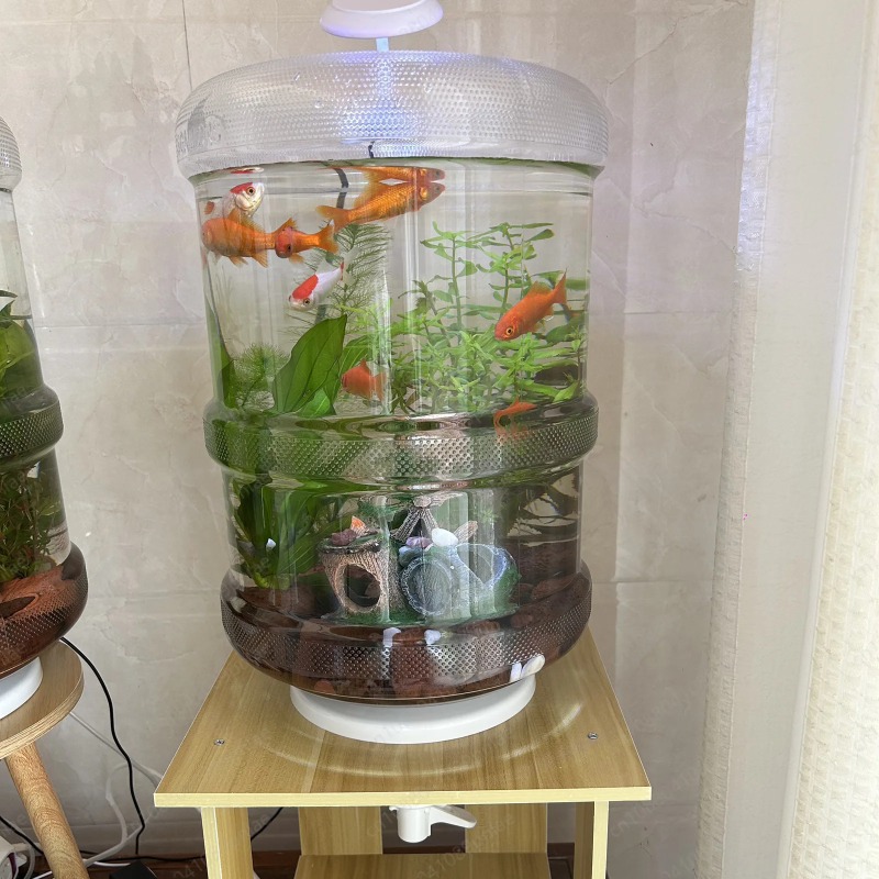 Aquarium Planted Tank Setup - Домашний аквариум для мгновенной настройки 30x30