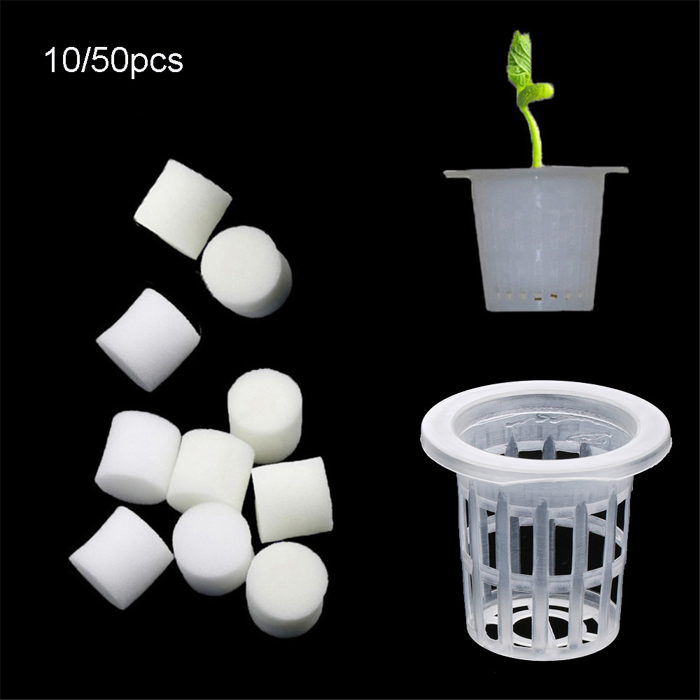 Aquarium Plant Seeds - 10/50 шт. прочные посадочные аквариумные беспочвенные