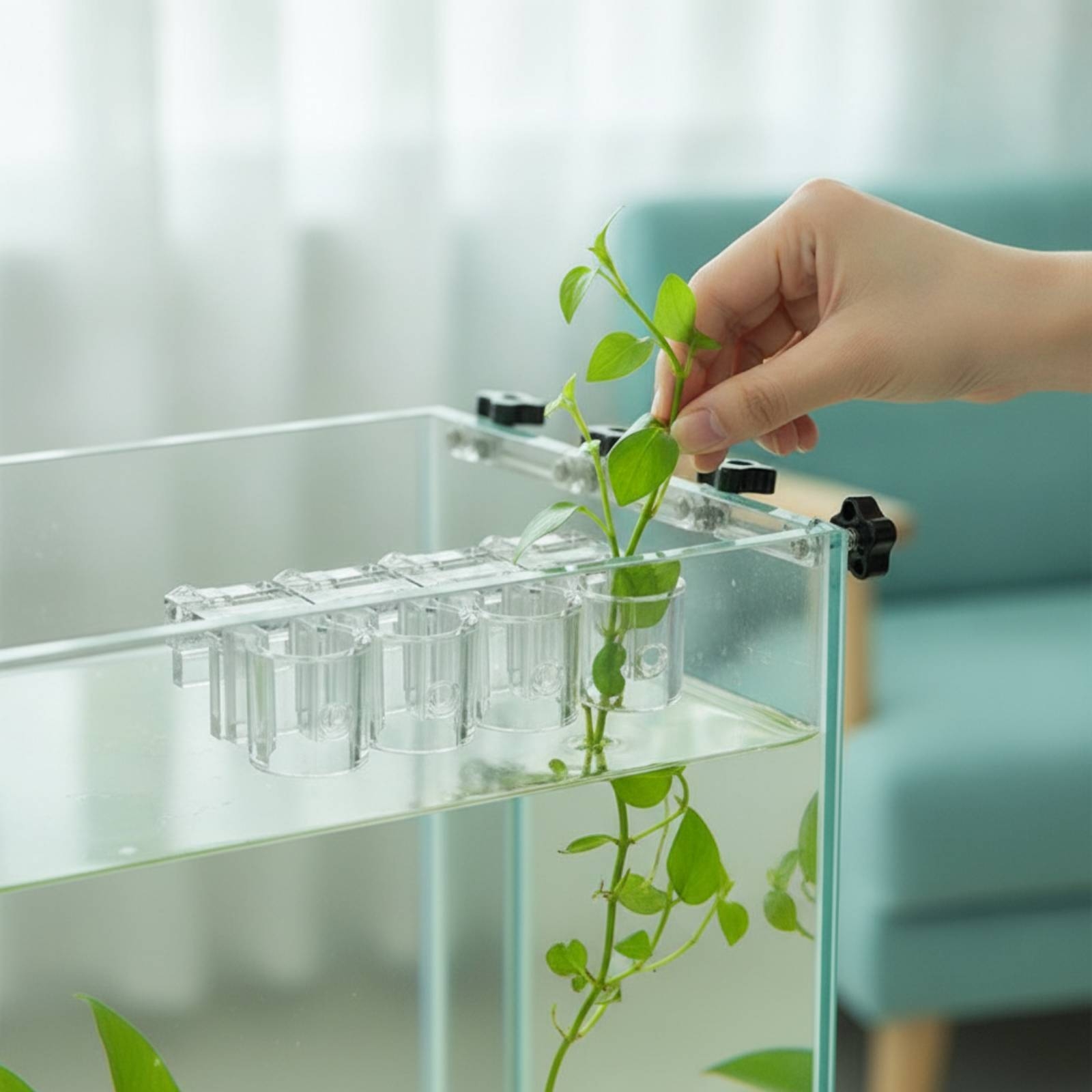 Набор из 6 прозрачных гидропон – обзор и цена Aquarium Planting