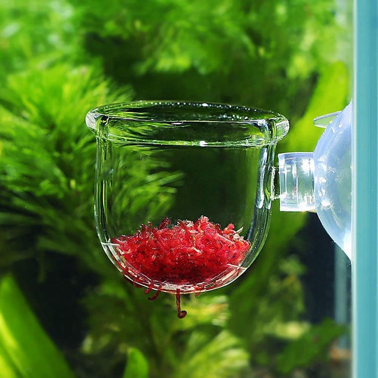Горшок для аквариумных растени – обзор и цена Aquarium Plant Seeds