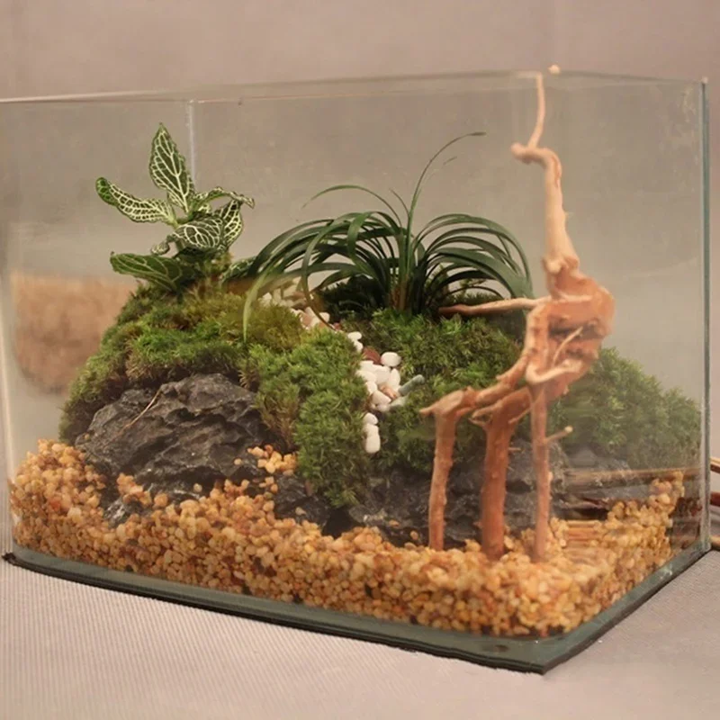 Натуральный ствол дерева Drift – обзор и цена Aquarium Plant Design
