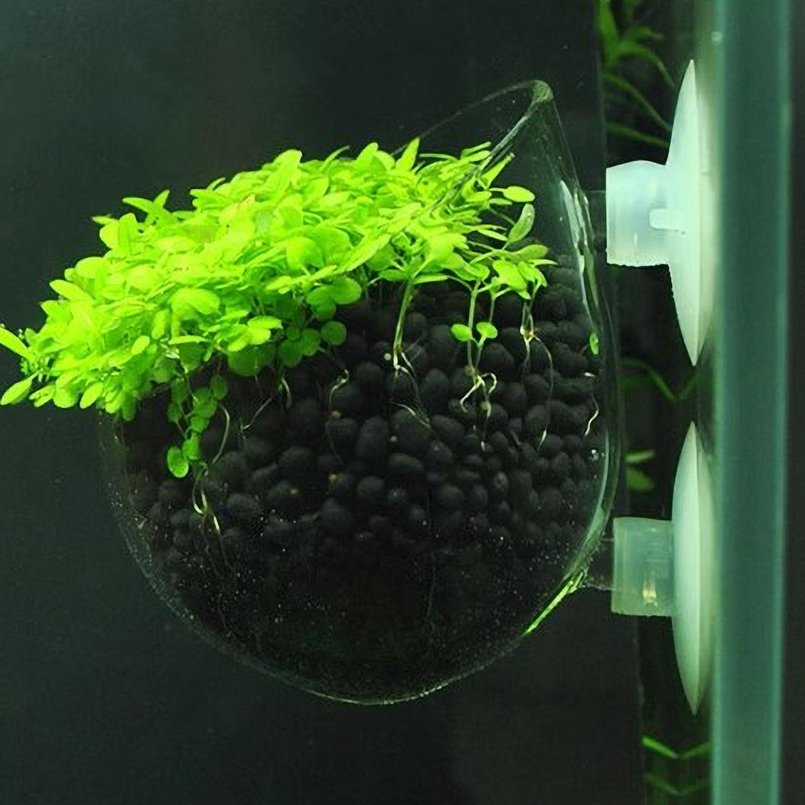 Держатель для аквариумных раст – обзор и цена Aquarium Plant Gel