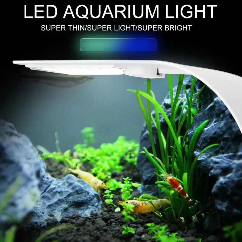 Супертонкий светодиодный свети – обзор и цена Planted Aquarium Pictures