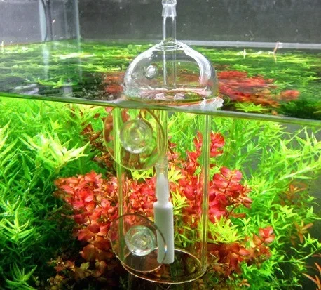 VIV Do устройство аквариумный  – обзор и цена Aquarium Lily Pipe
