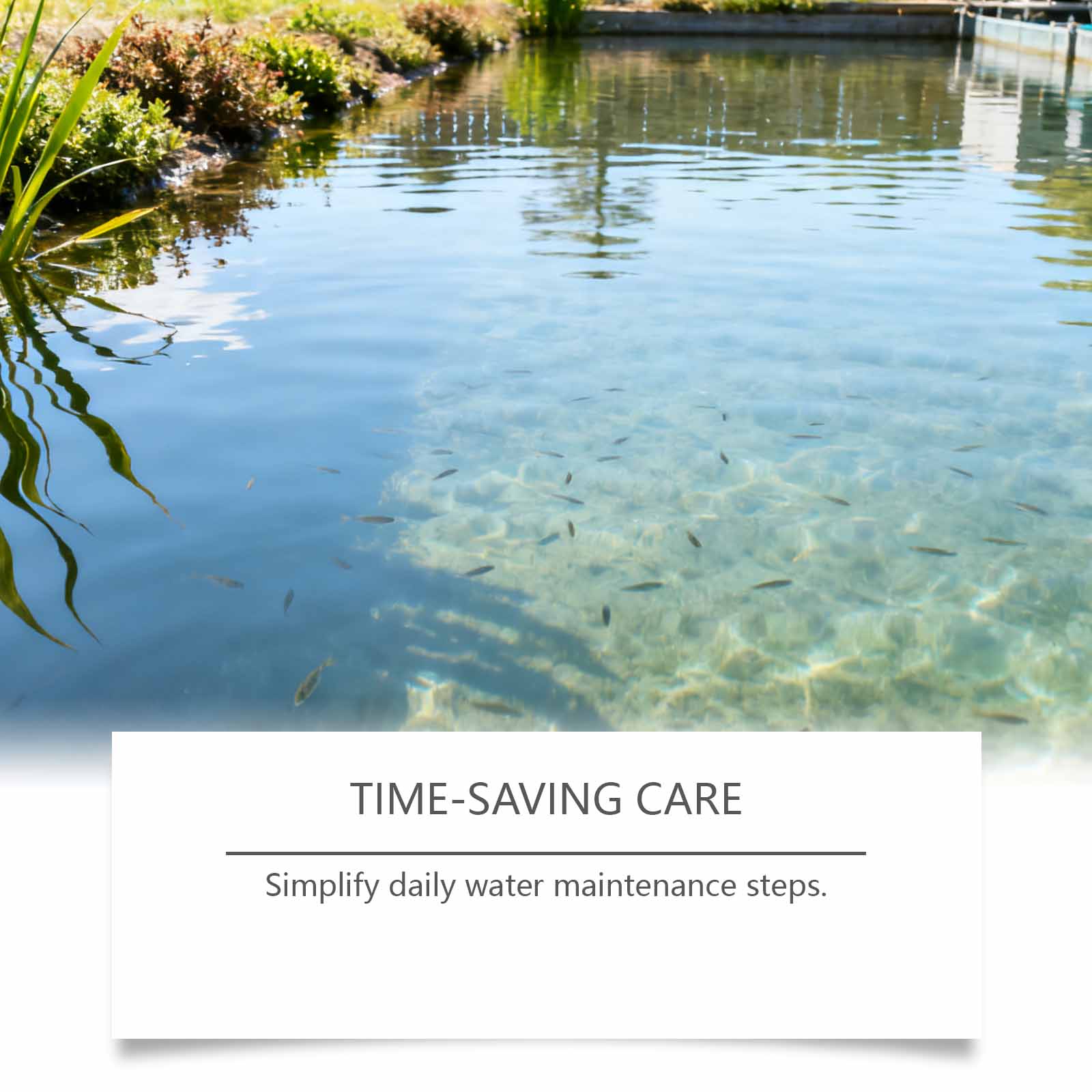 1/2/3/5 шт. Порошок для очистк – обзор и цена Planted Aquarium Cloudy Water