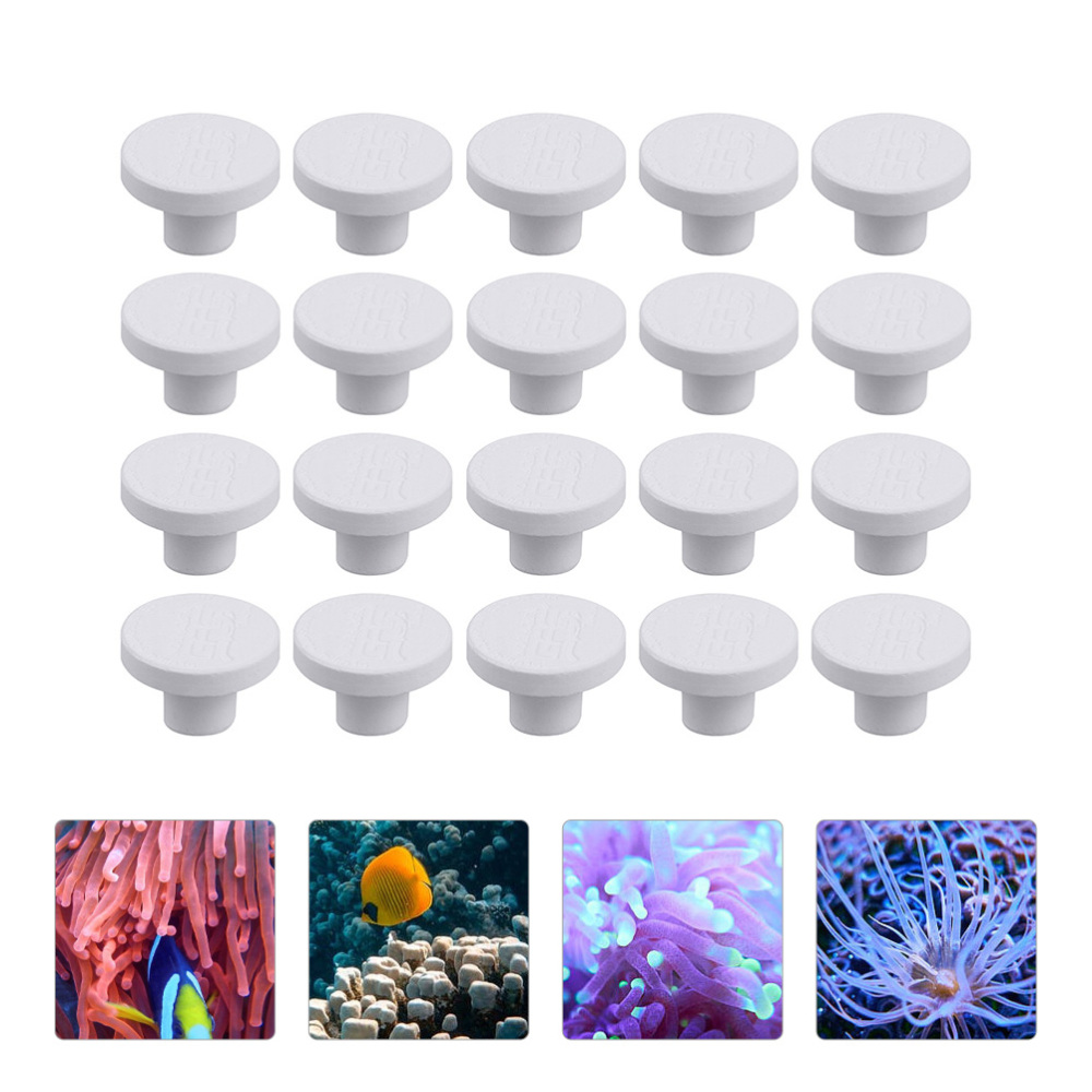 Керамическая подставка SPS для – обзор и цена Aquarium Plant Design
