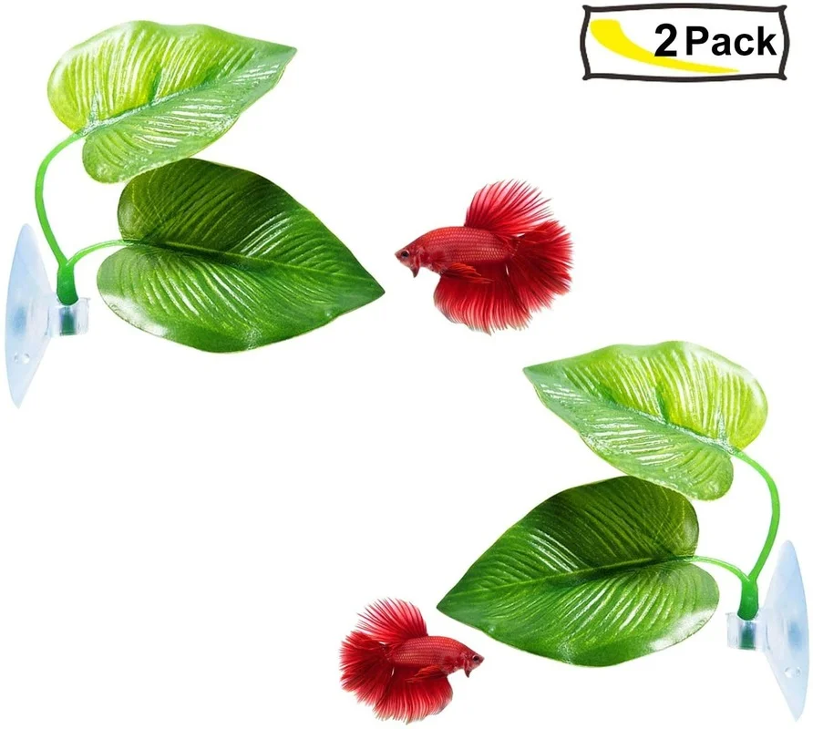 Гамак из листьев рыбы Бетта, и – обзор и цена Aquarium Plant Design