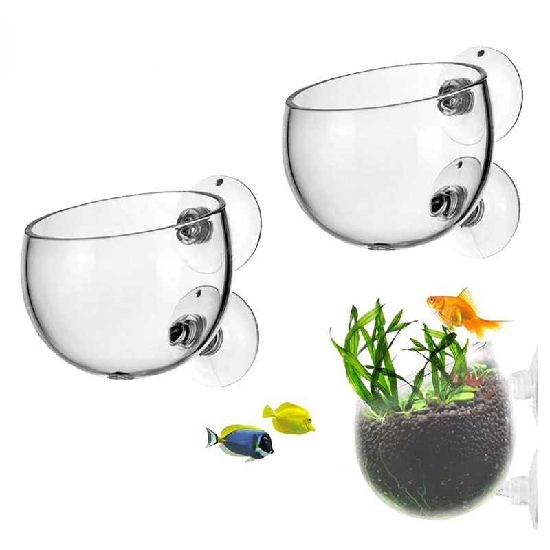 Новый горшок для аквариумных р – обзор и цена Aquarium Plant Seeds