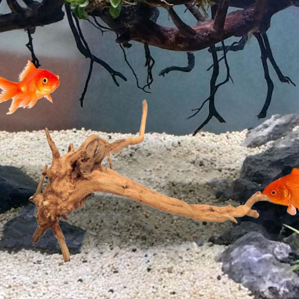 Натуральный ствол дерева, аква – обзор и цена Aquarium Plant Design