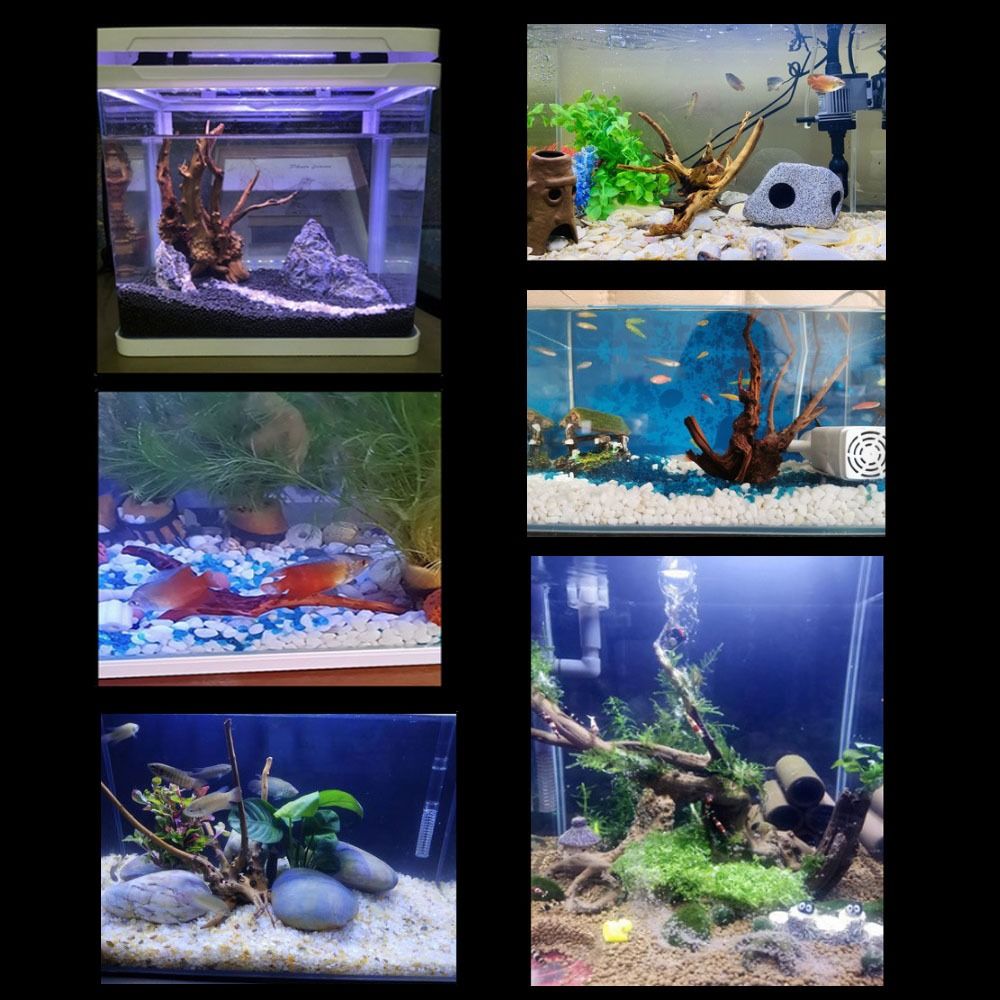 Натуральный ствол дерева, аква – обзор и цена Aquarium Plant Design
