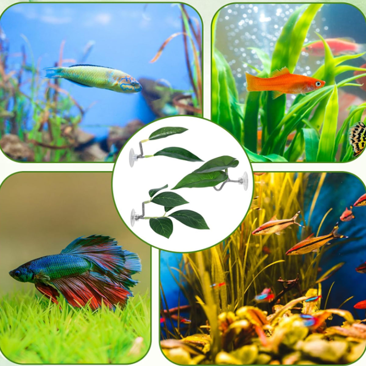 1 шт. Гамак для рыбок Бетта, м – обзор и цена Aquarium Plant Design