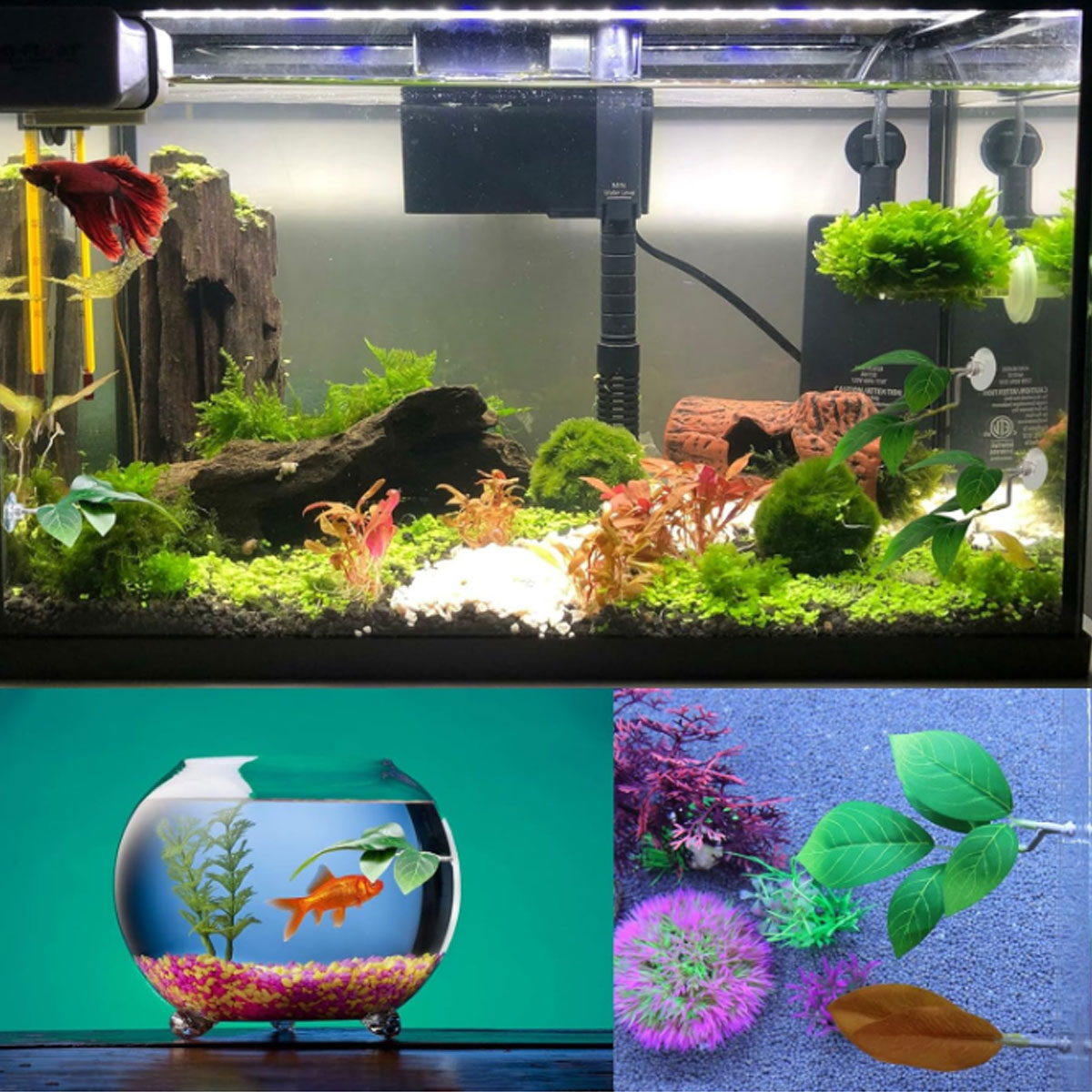 1 шт. Гамак для рыбок Бетта, м – обзор и цена Aquarium Plant Design