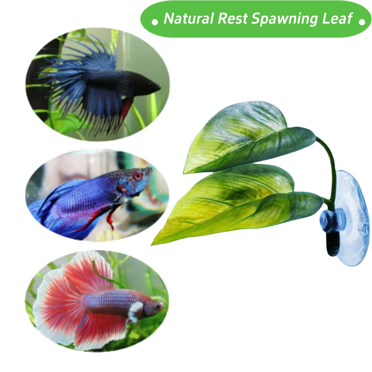 Декор для аквариума для домашн – обзор и цена Aquarium Plant Design