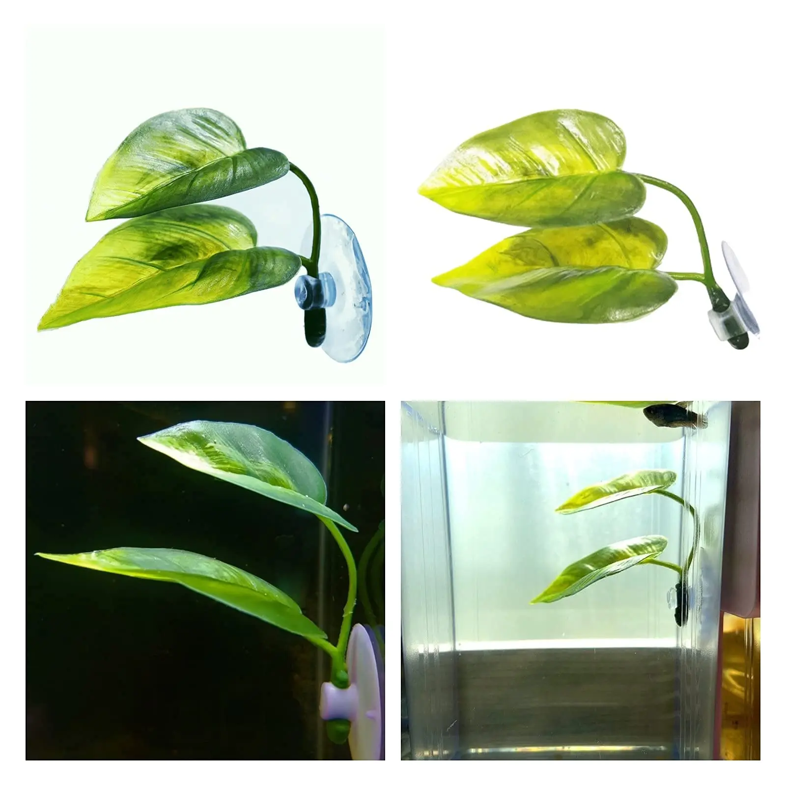 Декор для аквариума для домашн – обзор и цена Aquarium Plant Design