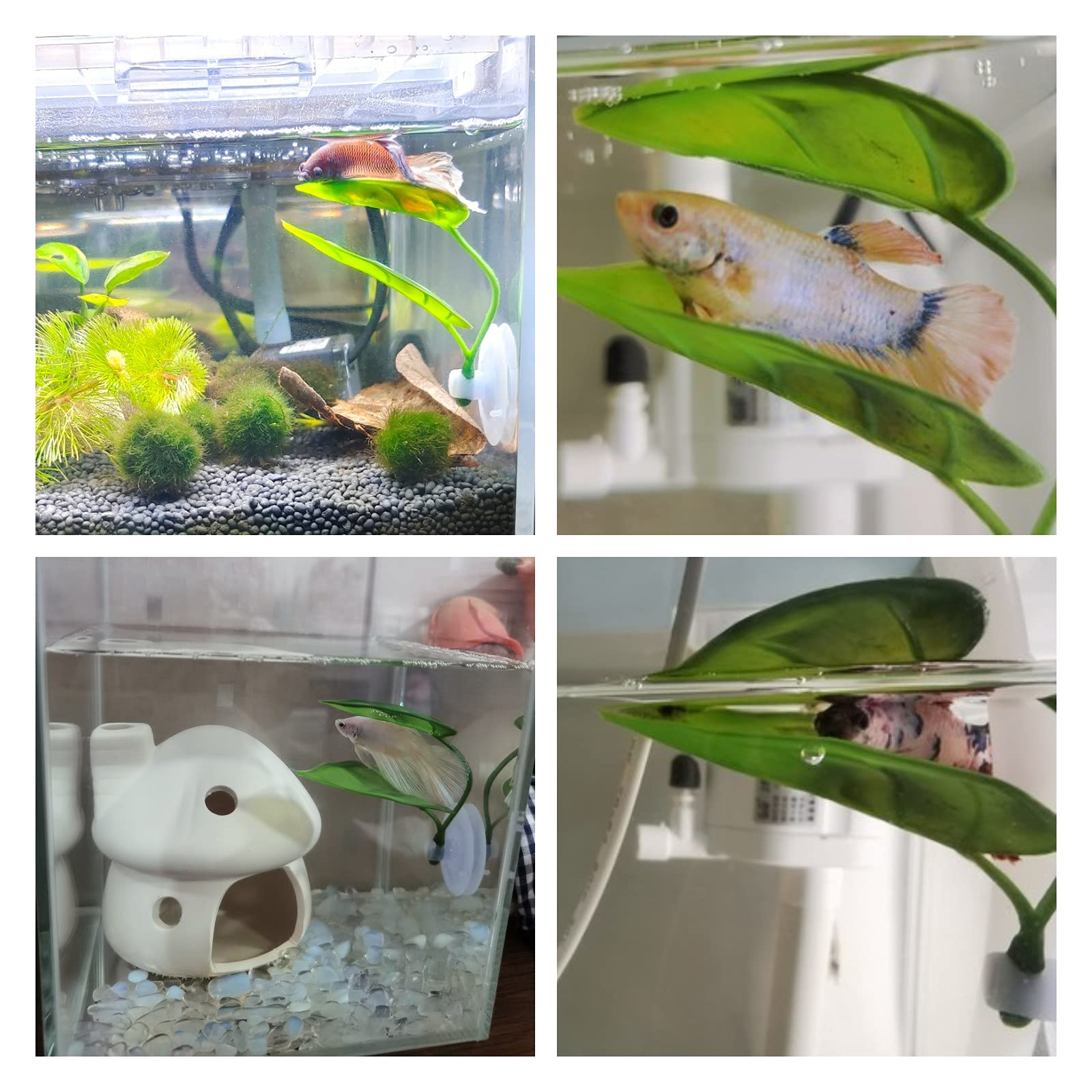 Декор для аквариума для домашн – обзор и цена Aquarium Plant Design