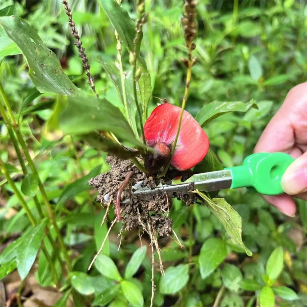 Многофункциональные садовые пи – обзор и цена Planted Clip Tweezers