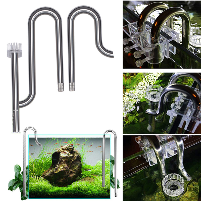Новый аквариум Лилия труба из  – обзор и цена Aquarium Lily Pipe