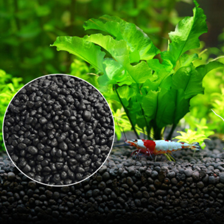 Семена аквариумных растений, п – обзор и цена Aquarium Plant Growth