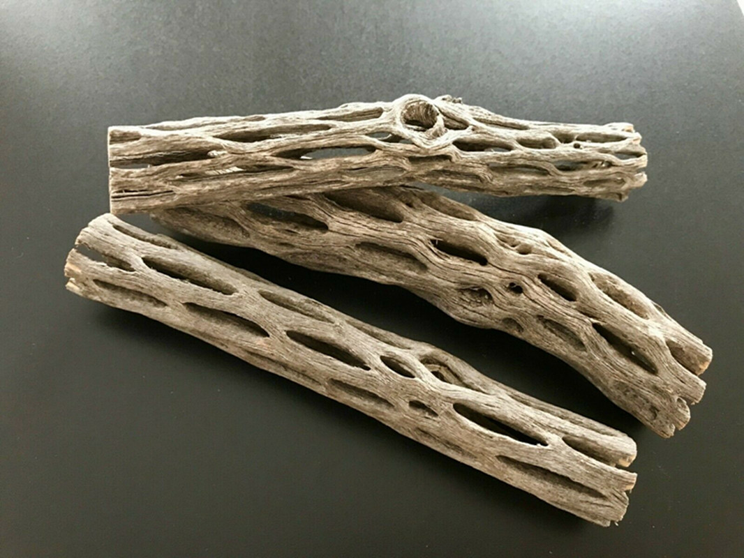Органическое/натуральное аквар – обзор и цена Aquarium Plant Seeds