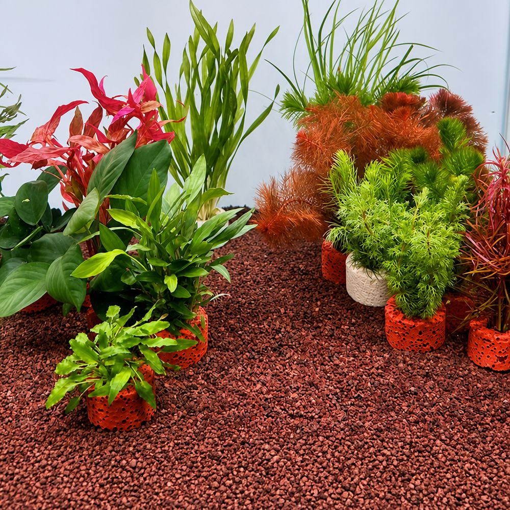 10 шт. утяжеленных колец для ф – обзор и цена Planted Aquarium Pictures
