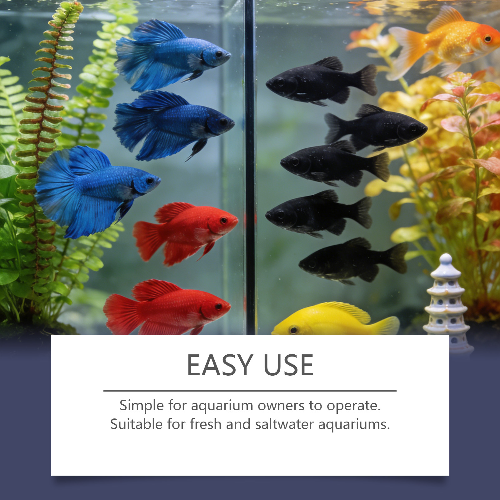 Таблетки для удаления водоросл – обзор и цена Planted Aquarium Cloudy Water