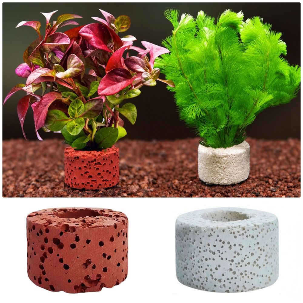 10 шт. утяжеленных колец для ф – обзор и цена Planted Aquarium Pictures