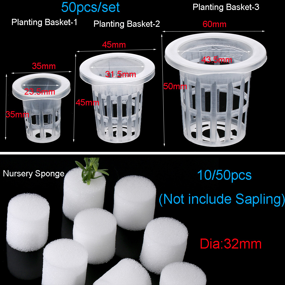 10/50 шт. прочные посадочные а – обзор и цена Aquarium Plant Seeds