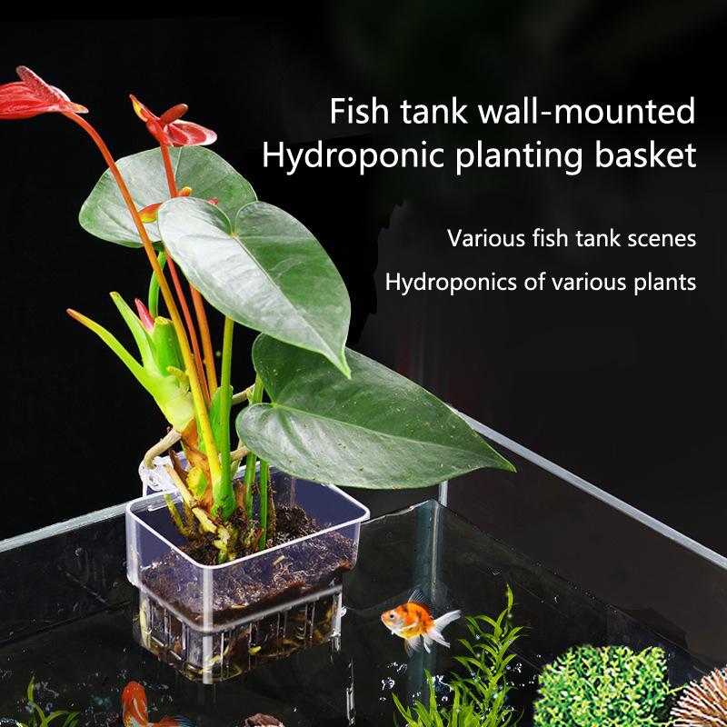 Корзинки для гидропоники в акв – обзор и цена Aquarium Planted Tank Setup