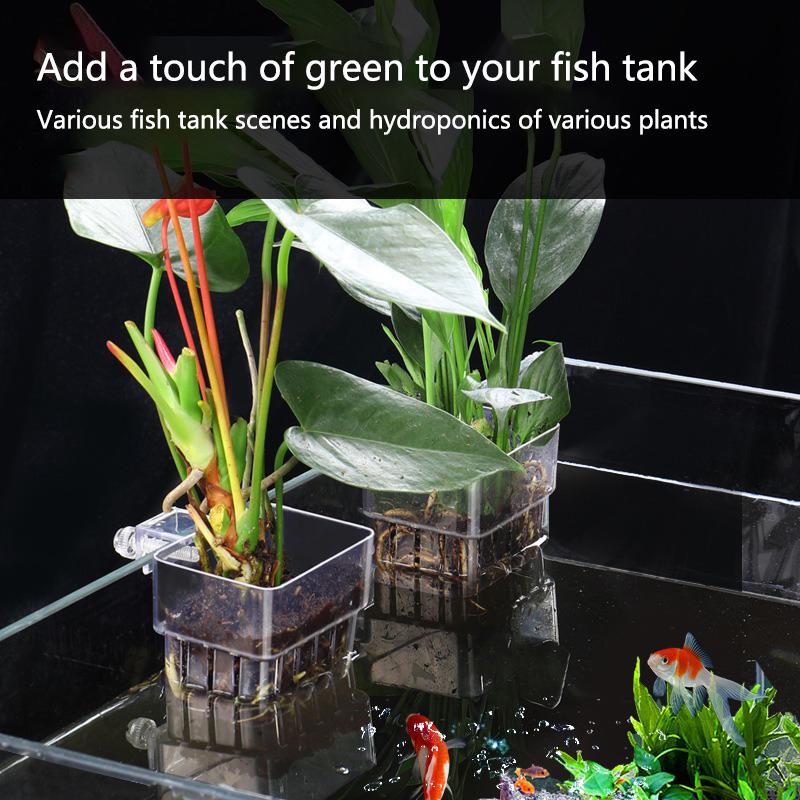 Корзинки для гидропоники в акв – обзор и цена Aquarium Planted Tank Setup