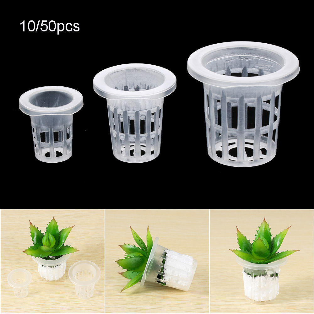 10/50 шт. садовые принадлежнос – обзор и цена Aquarium Plant Seeds